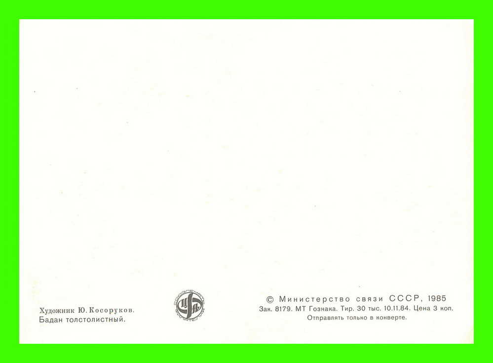 CARTES MAXIMUM - FLEURS, ARBRES, PLANTES - RUSSIE - CCCP - 1985 - - Cartoline Maximum