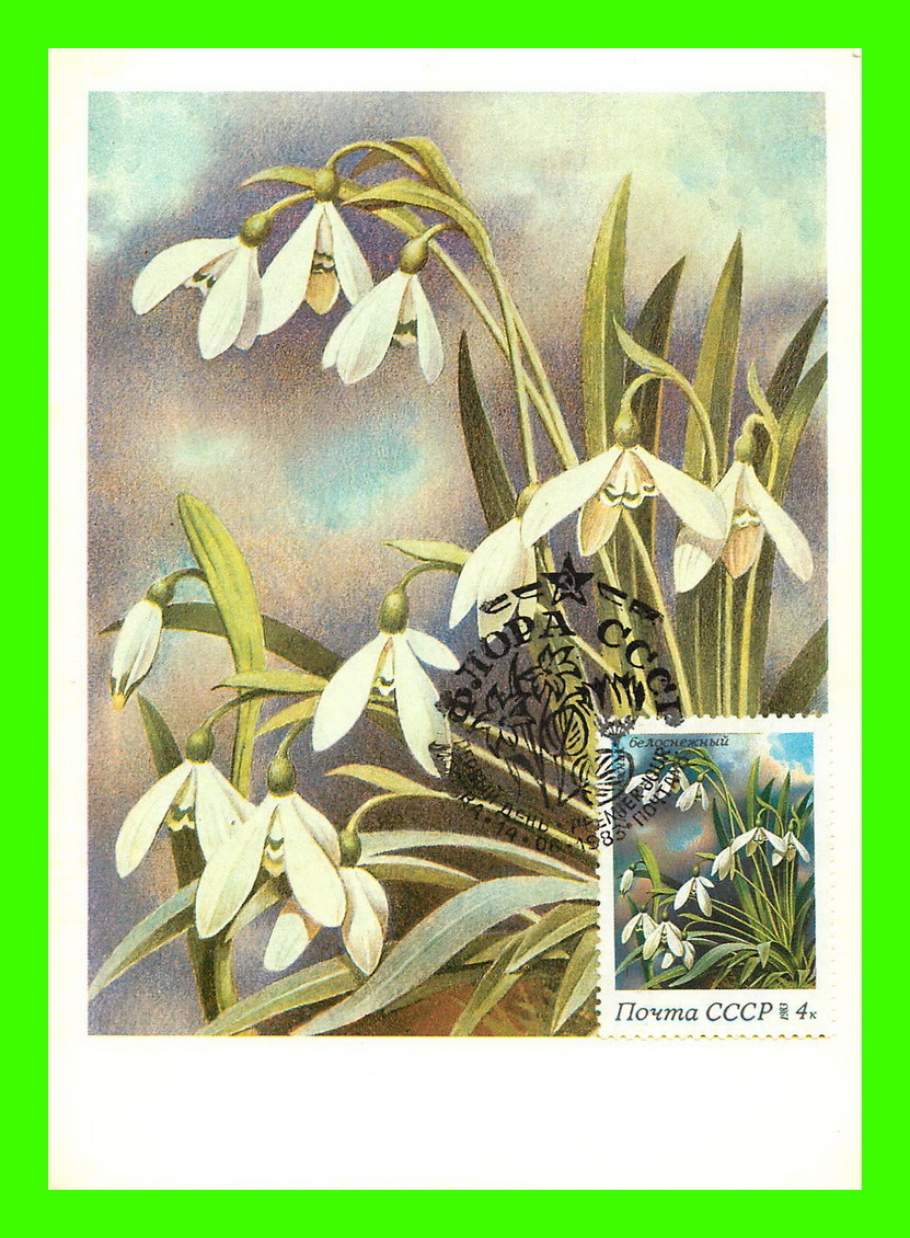 CARTES MAXIMUM - FLEURS, ARBRES, PLANTES - RUSSIE - CCCP - 1983 - - Maximum Cards