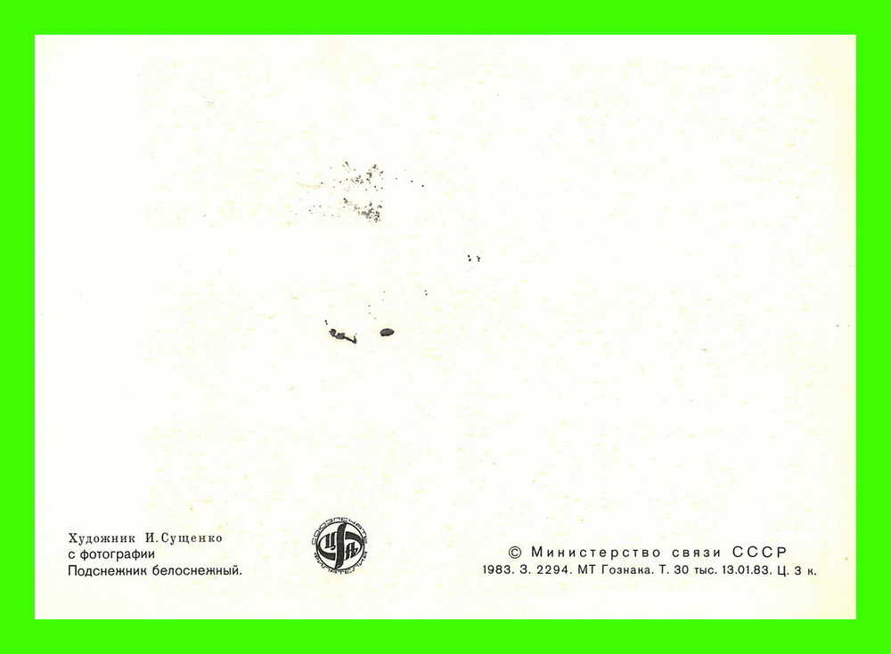 CARTES MAXIMUM - FLEURS, ARBRES, PLANTES - RUSSIE - CCCP - 1983 - - Maximum Cards