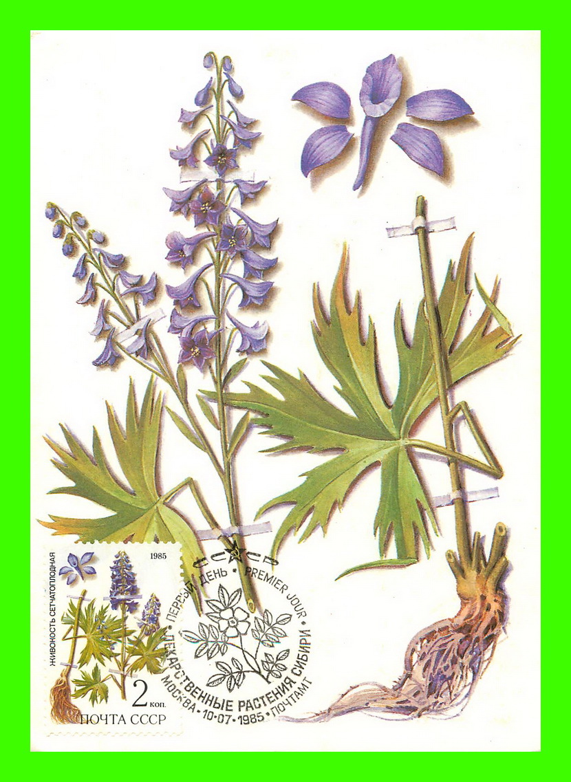 CARTES MAXIMUM - FLEURS, ARBRES, PLANTES - RUSSIE - CCCP - 1985 - - Maximumkarten