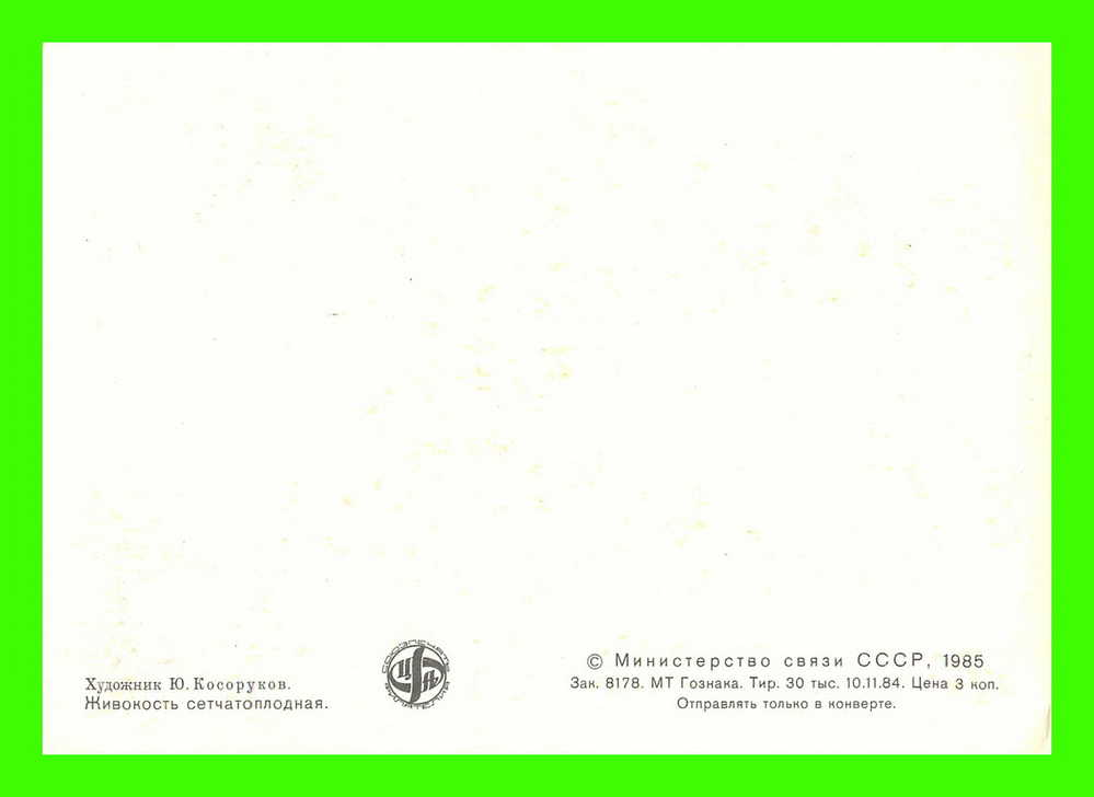 CARTES MAXIMUM - FLEURS, ARBRES, PLANTES - RUSSIE - CCCP - 1985 - - Tarjetas Máxima