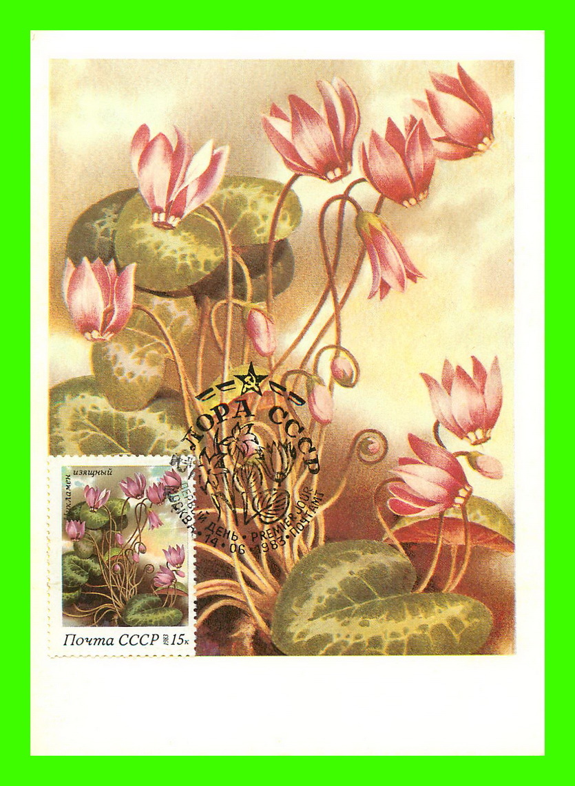 CARTES MAXIMUM - FLEURS, ARBRES, PLANTES - RUSSIE - CCCP - 1983 - - Tarjetas Máxima