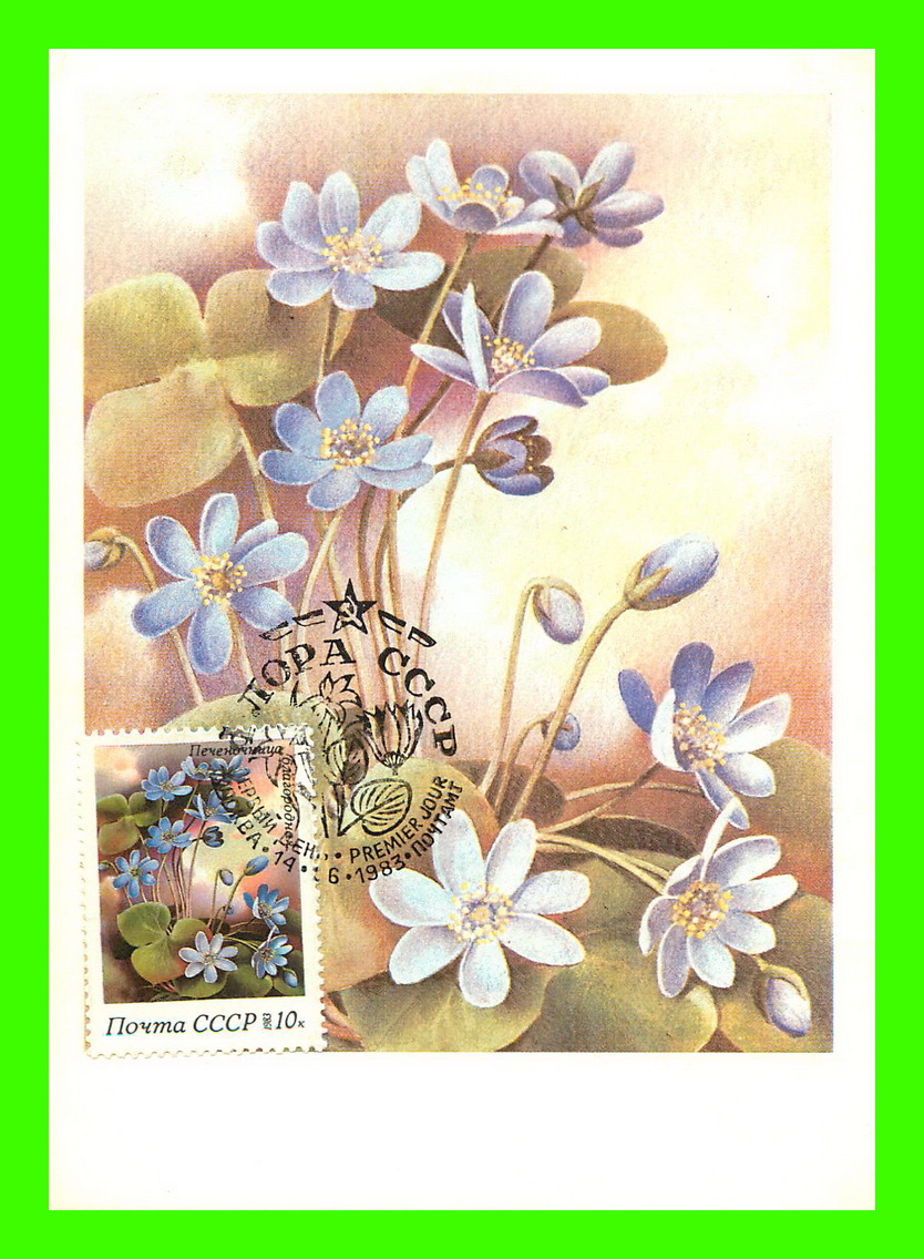 CARTES MAXIMUM - FLEURS, ARBRES, PLANTES - RUSSIE - CCCP - 1983 - - Cartoline Maximum