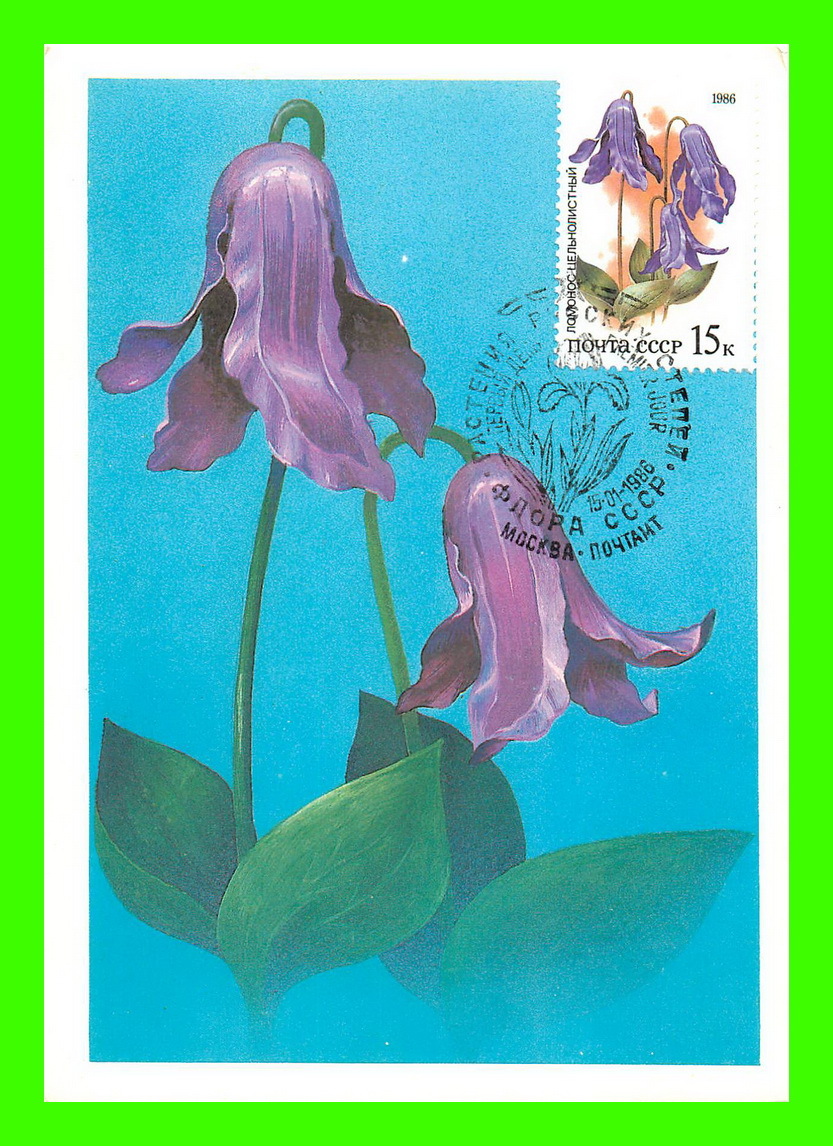 CARTES MAXIMUM - FLEURS, ARBRES, PLANTES - RUSSIE - CCCP - 1986 - - Tarjetas Máxima