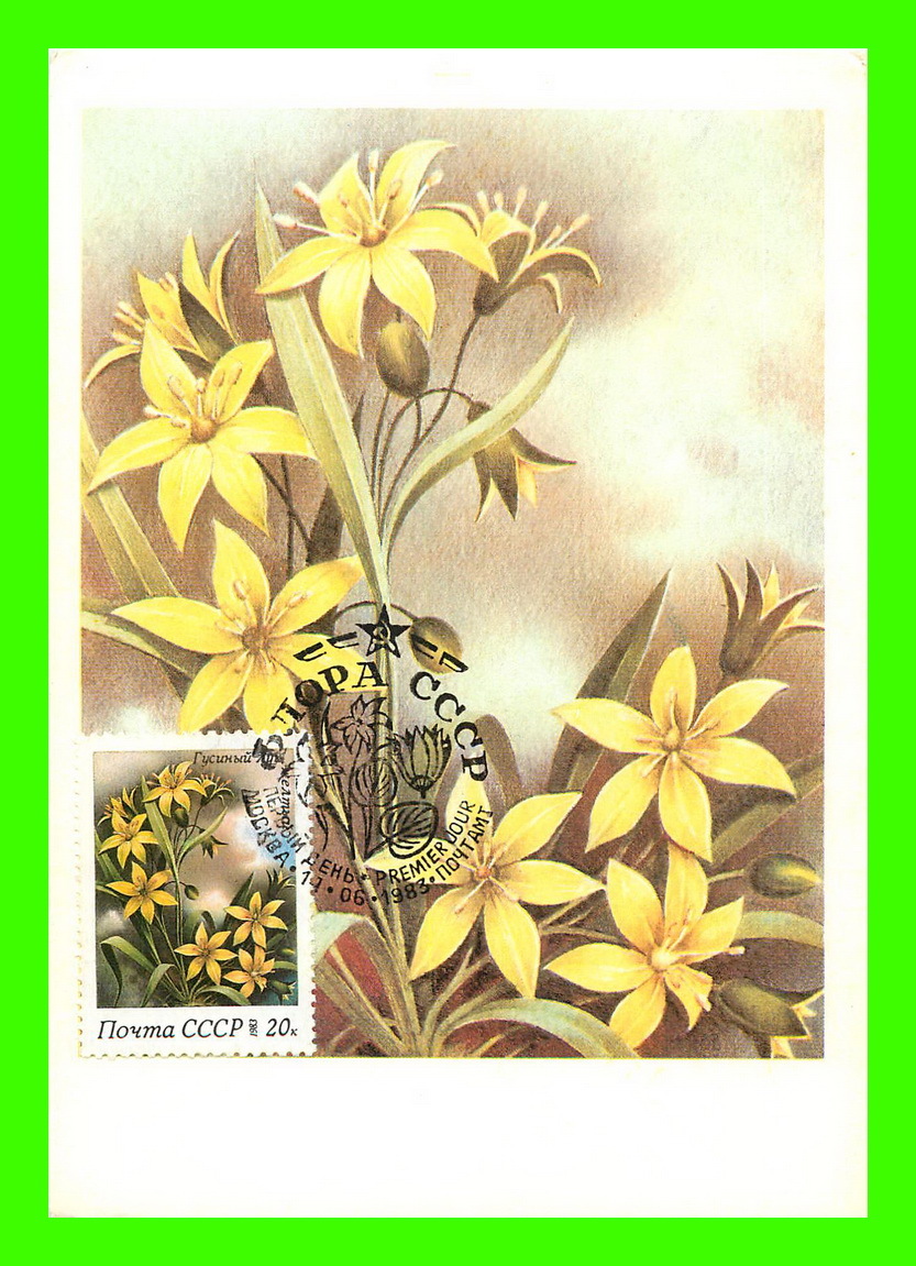 CARTES MAXIMUM - FLEURS, ARBRES, PLANTES - RUSSIE - CCCP - 1983 - - Cartes Maximum