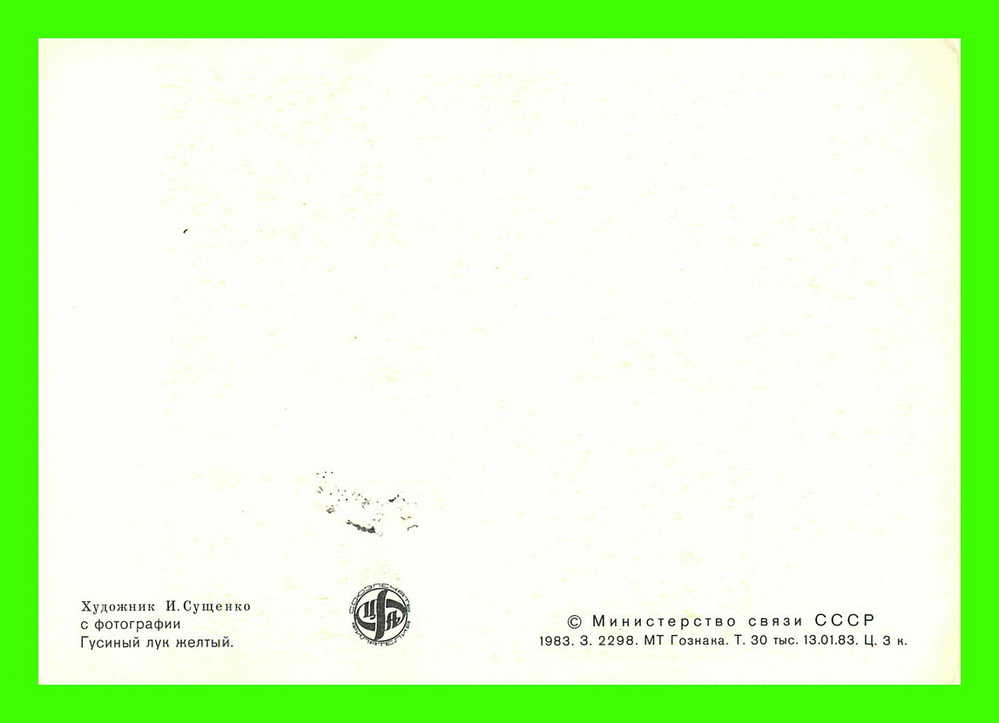 CARTES MAXIMUM - FLEURS, ARBRES, PLANTES - RUSSIE - CCCP - 1983 - - Maximum Cards