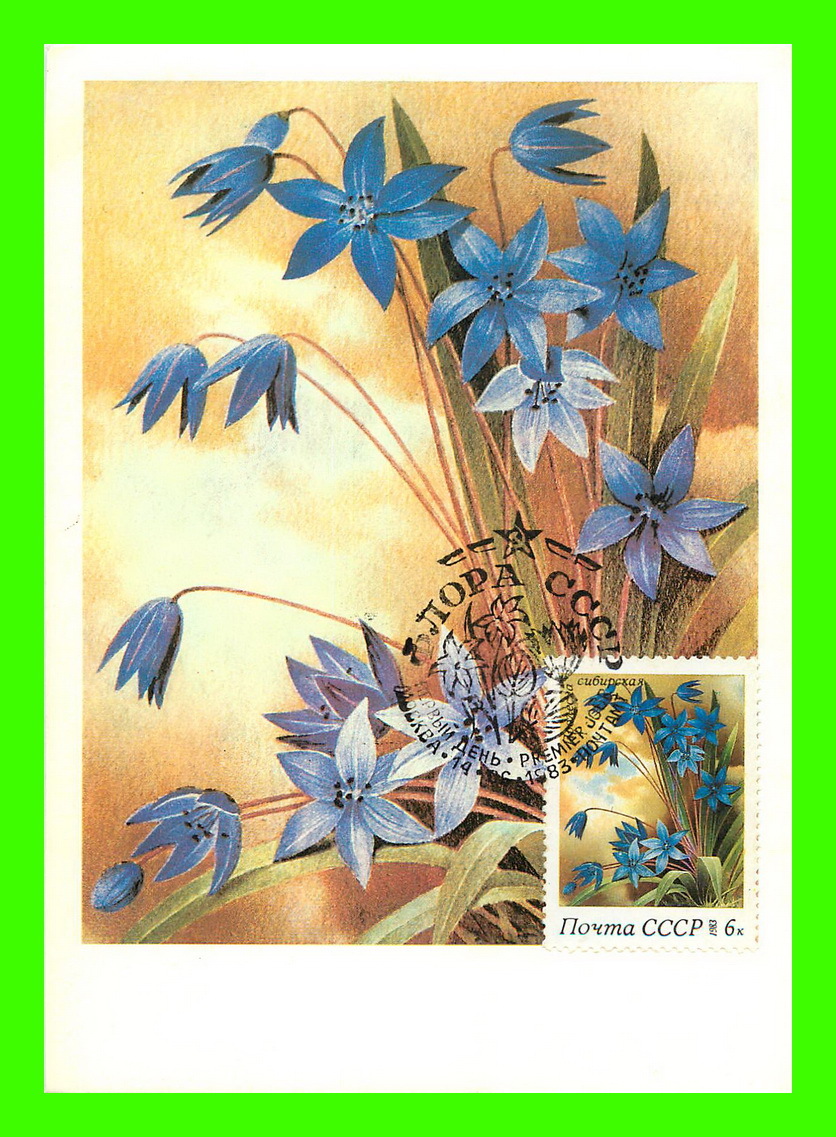 CARTES MAXIMUM - FLEURS, ARBRES, PLANTES - RUSSIE - CCCP - 1983 - - Cartes Maximum