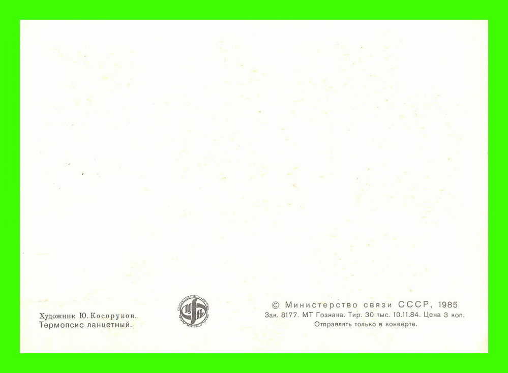 CARTES MAXIMUM - FLEURS, ARBRES, PLANTES - RUSSIE - CCCP - 1985 - - Maximumkaarten
