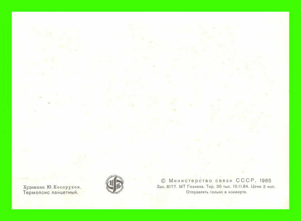 CARTES MAXIMUM - FLEURS, ARBRES, PLANTES - RUSSIE - CCCP - 1985 - - Maximumkarten