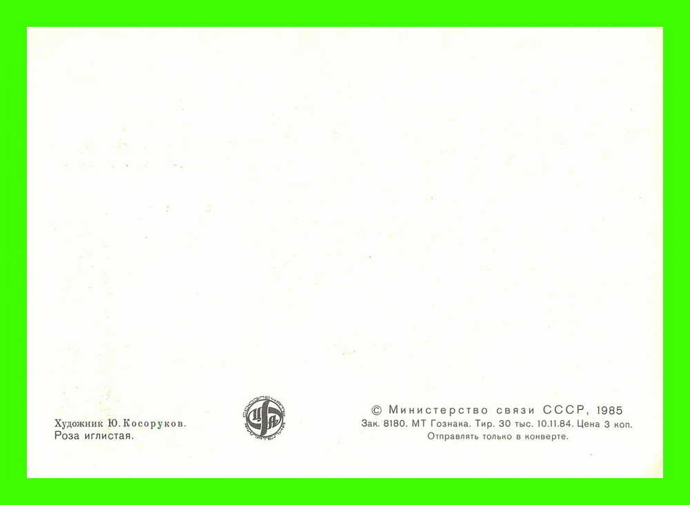 CARTES MAXIMUM - FLEURS, ARBRES, PLANTES - RUSSIE - CCCP - 1985 - - Tarjetas Máxima