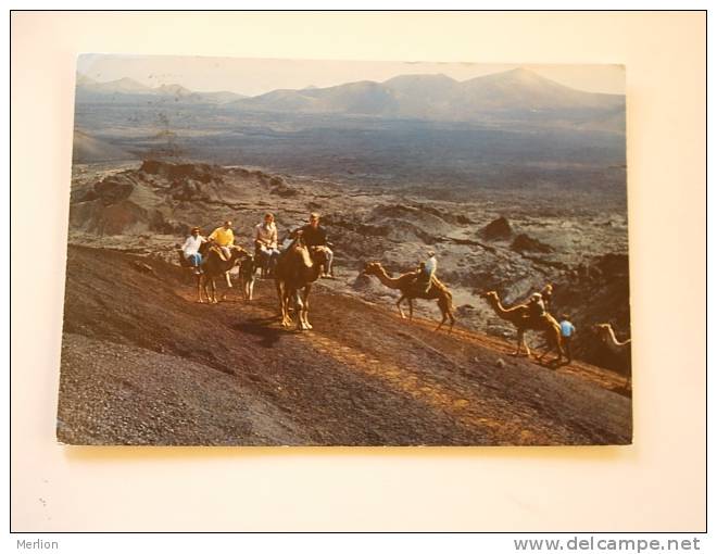 Espana -Islas Canarias - Lanzarote  -Montana Del Fuego - Mar De Lava -camel  VF   D59859 - Lanzarote