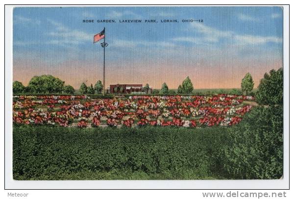 Rose Garden Lakeview Park Lorain Ohio - 12 - Akron