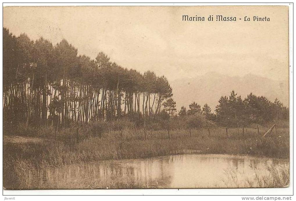 Marina Di Massa  (MASSA) - La Pineta - Carrara