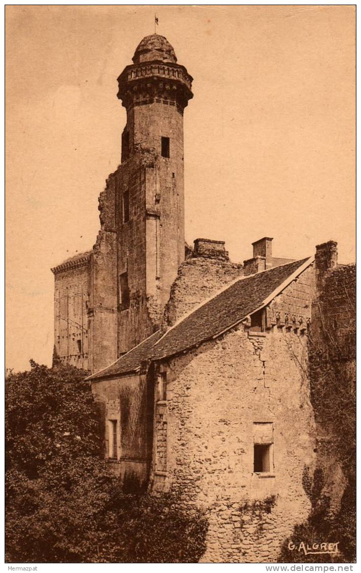 LE GRAND-PRESSIGNY (Indre-et-Loire 37) - Le Château, La Tour Vironne (XVIe S.), Vue Prise Des Douves. - Le Grand-Pressigny