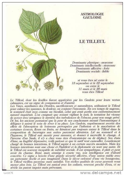 ASTROLOGIE GAULOISE  -  LE TILLEUL  - Textes  : Edgar Bliss -  Illustration ! Muséum Histoire Naturelle - Astrologie