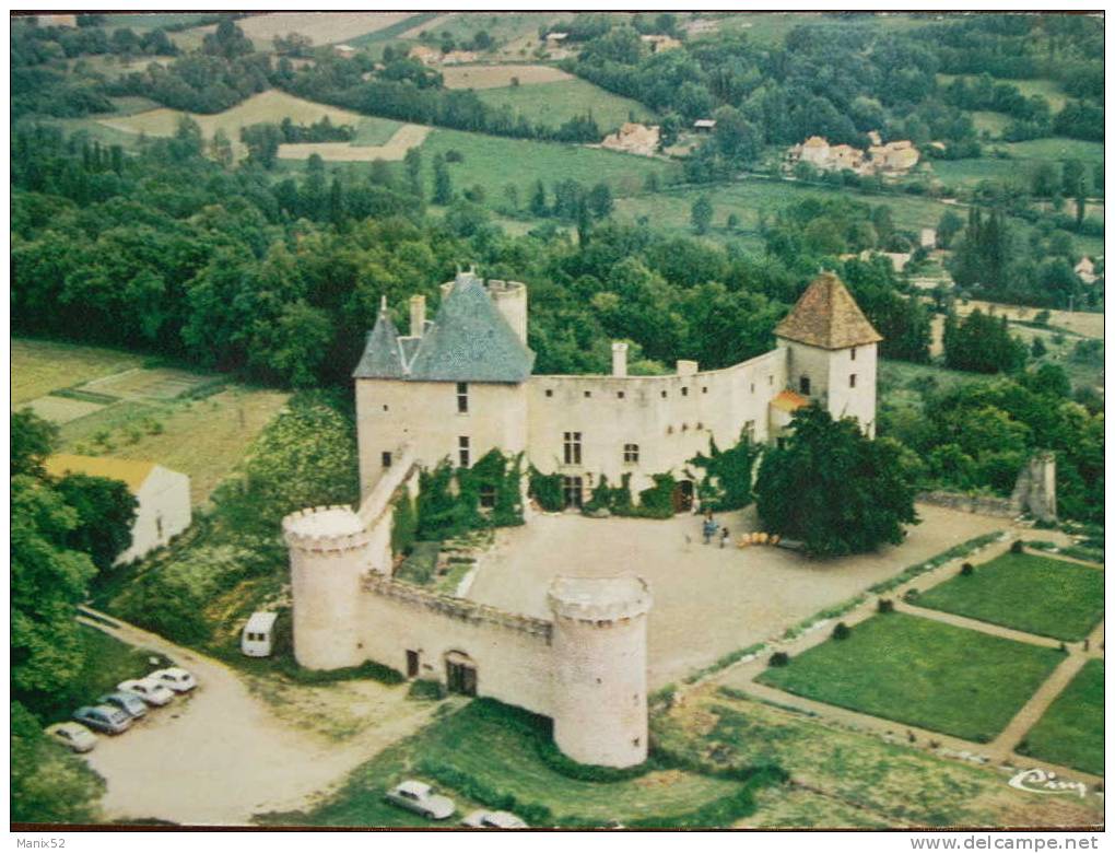 63 - AIGUEPERSE - Château De La Roche - Fief Du Chancelier Michel De L'Hôpital. (Vue Aérienne) - Aigueperse