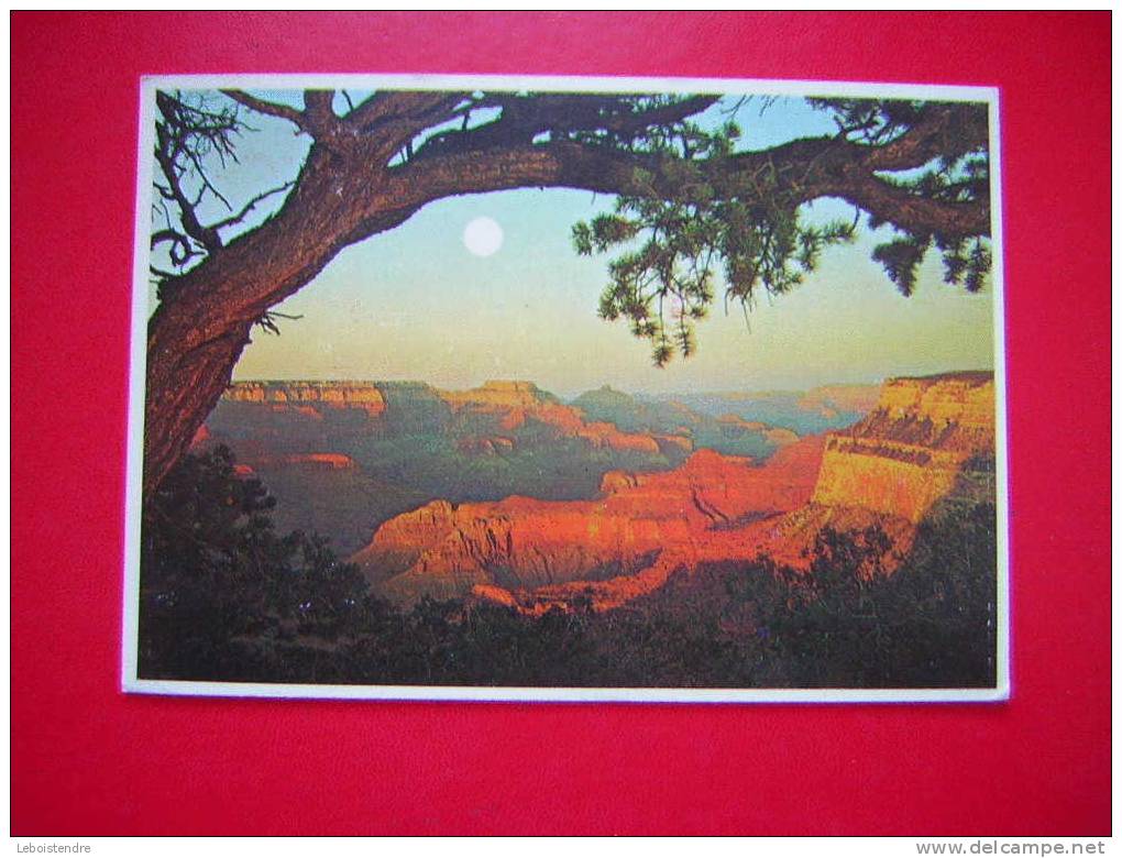 CPM -ETATS-UNIS : ARIZONA-GRAND CANYON NATIONAL PARK ARIZONA -CARTE EN BON ETAT,COINS LEGEREMENT COGNES - Gran Cañon