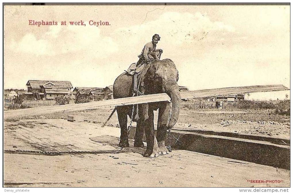 ELEPHANTS AT WORK/ CEYLON - Éléphants