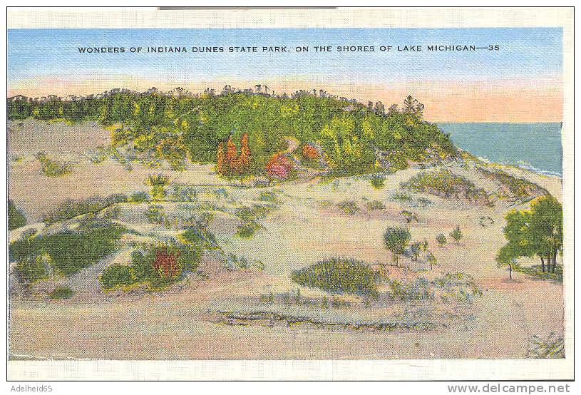 Wonders Of Indian Dunes State Park On The Shores Of Lake Michigan - Sonstige & Ohne Zuordnung