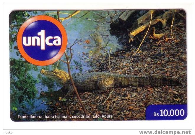 CROCODILE ( Venezuela ) * Alligator Cocodrilo Krokodil Coccodrillo Crocodiles Alligators * Animal Animaux  Animals Fauna - Crocodiles And Alligators