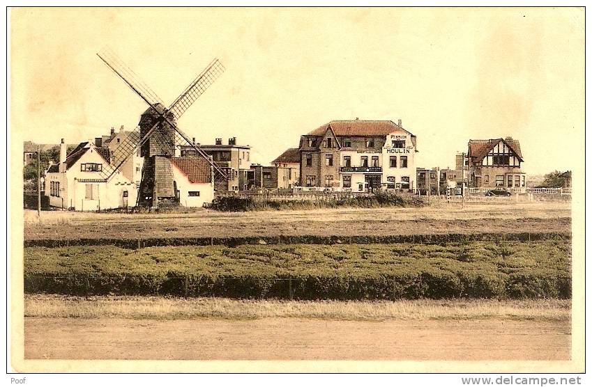 Wenduine / Wenduyne : Molenwijk--Le Quartier Du Moulin - Wenduine