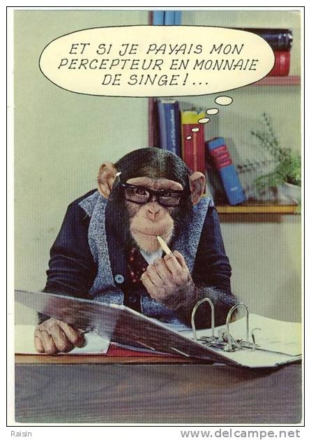 Humour  Singe   "Et Si Je Payais Mon Percepteur En Monnaie De Singe !..." CPSM état Moyen - Apen