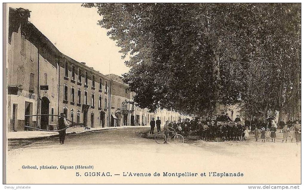 34/ GIGNAC- L'AVENUE DE MONTPELLIER ET L'ESPLANDE - Gignac