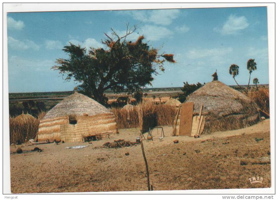 Village , Afrique En Couleurs N° 8489  ; Neuve , éd IRIS Export - Non Classés