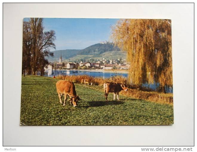 Suisse - SH - Stein Am Rhein - F D60556 - Stein Am Rhein