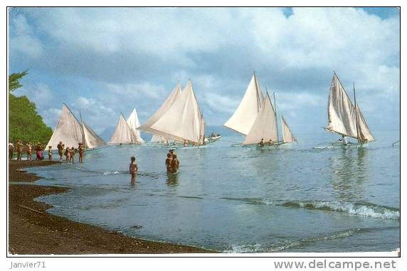 Papette : Course De Pirogues à Voiles. - Tahiti