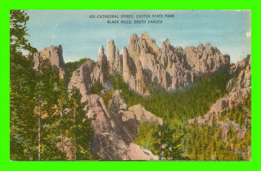 BLACK HILLS, SD. - CATHEDRAL SPIRES, CUSTER STATE PARK - - Autres & Non Classés