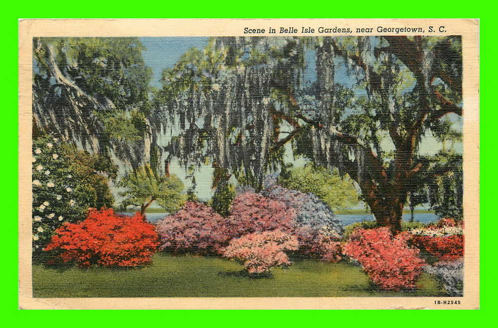 GEORGETOWN, SC - SCENE IN BELLE ISLE GARDENS - TRAVEL - - Other & Unclassified