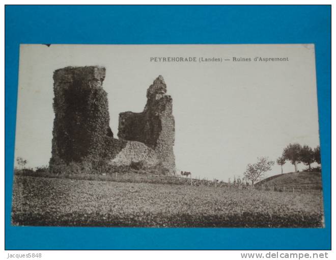 40) Peyrehorade - Ruines D'aspremont - Année 1929 - EDIT - - Peyrehorade