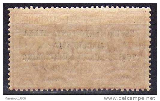 ITALIA 1917 - P.A. Torino - Roma **  (g206b) - Posta Aerea