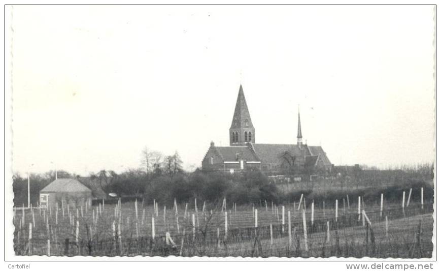 ENGELMANSHOVEN-UNIEKE FOTOKAART-GELOPEN-2 SCANS - Sint-Truiden