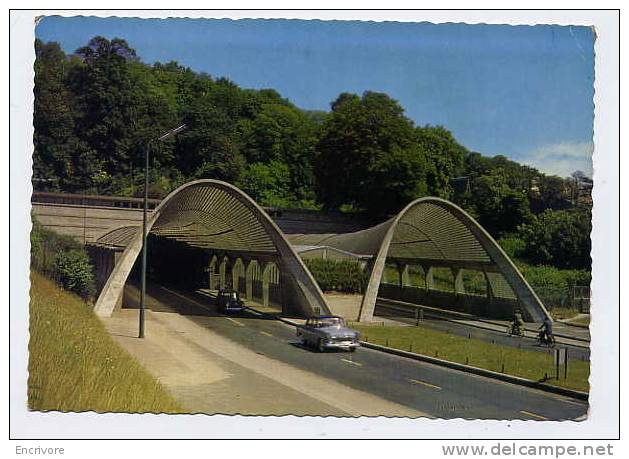 Cpsm LE HAVRE Tunnel Jenner Foret De Mongeon - Mobylette Voitures Fiat Simca ?-A35 Ed Bellevue - Forêt De Montgeon