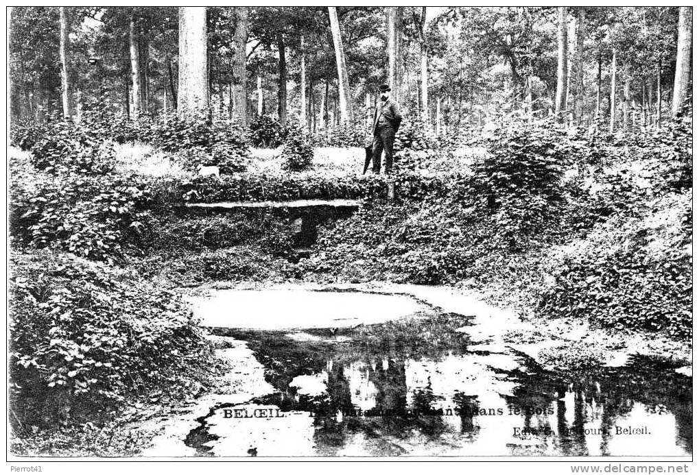 BELOEIL - La Fontaine Dans Le Bois - Belöil