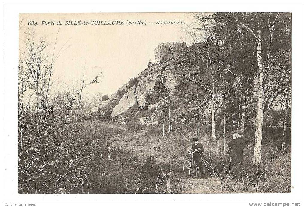 FORET De SILLE-le-GUILLAUME/ ROCHEBRUNE Avec ANIMATION - Sille Le Guillaume