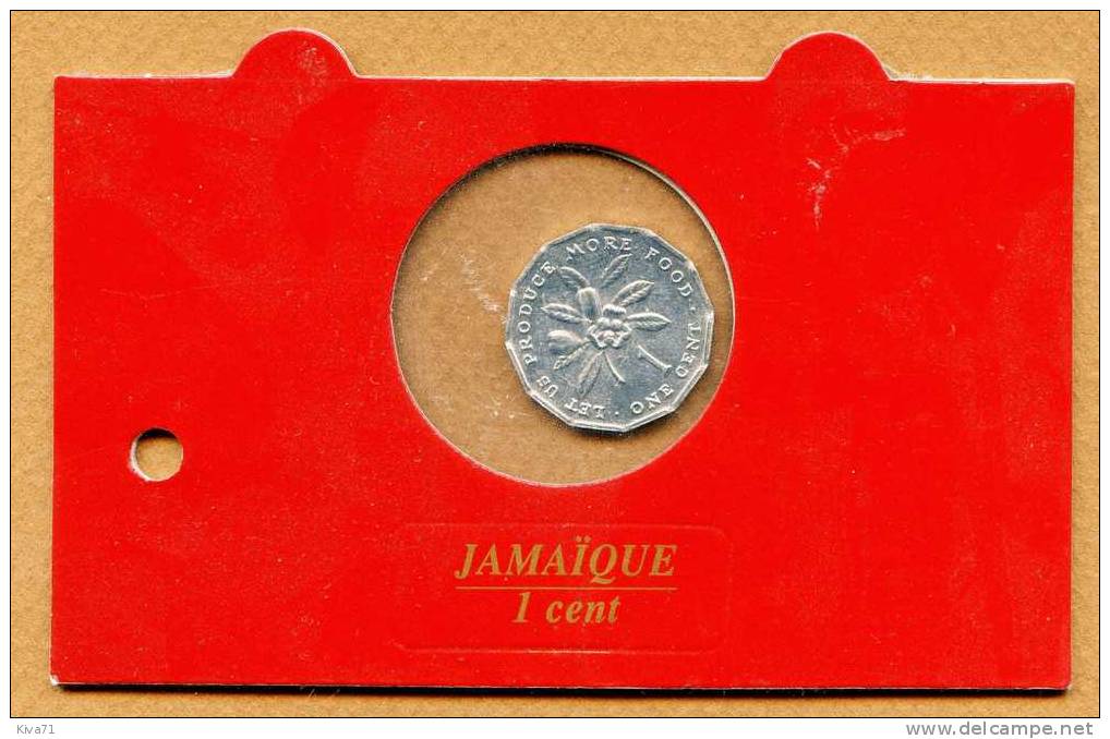 1 Cent "Jamaïque"  1991  FDC /UNC - Jamaique
