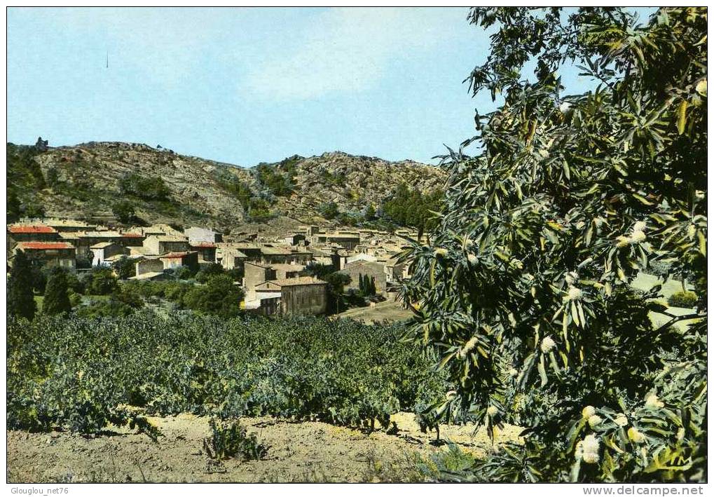 83-LA GARDE FREINET...UN VILLAGE DES MAURES...VUE GENERALE.....CPSM GRAND FORMAT - La Garde Freinet