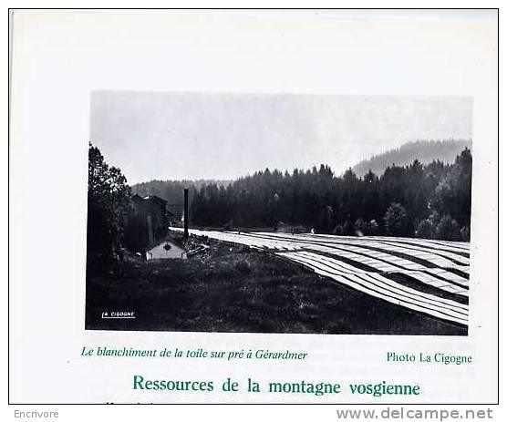 BT N° 426 Le MASSIF VOSGIEN Pierre Feve -nombreuses Photos -lac Gerardmer -bois Linge - Lorraine - Vosges