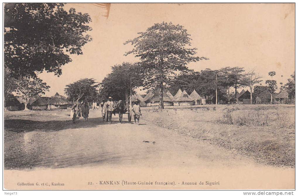 Cpa - KANKAN - Avenue De Siguiri - Guinea