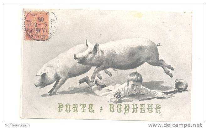 COCHONS )) COCHONS PORTE BONHEUR - Pigs