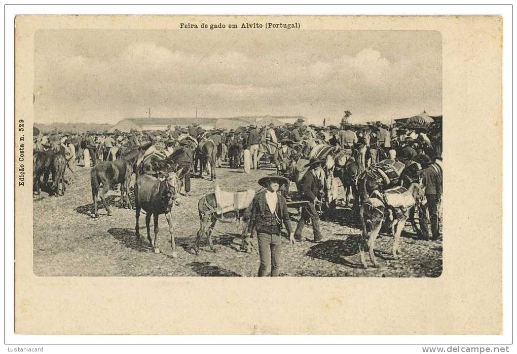 ALVITO - FEIRAS E MERCADOS -  Feira De Gado Em Alvito Carte Postale - Beja