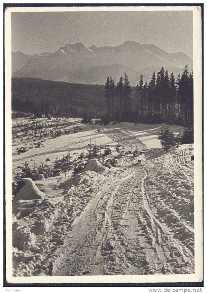 POLAND, EXTREMELY CURIOUS POSTCARD  WITH STAMPS FROM POLAND AND SLOVAKIA AT THE BEGINNING OF WW - Covers & Documents