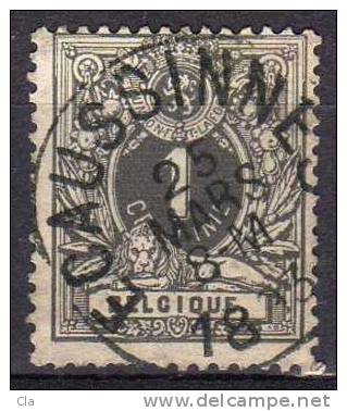 43  Obl Ecaussines (+100) - 1869-1888 Lion Couché