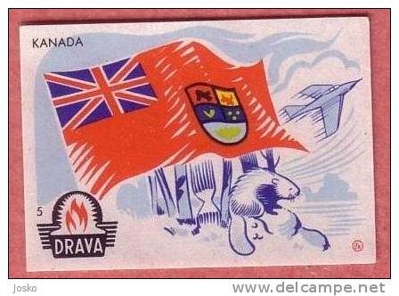 CANADA Flag ( Yugoslavia ) Otter Loutre Nutria Drapeau Bandera Fahne Bandiera Flags* Matchbox Label Etiquette Allumettes - Matchbox Labels