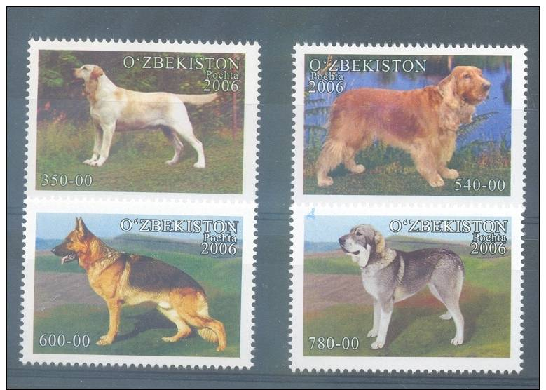 CHEAP SHIPPING * UZBEKISTAN * SERIE 4v * YEAR 2006 * DOGS * LABRADOR / SPANIEL * MNH - Oezbekistan