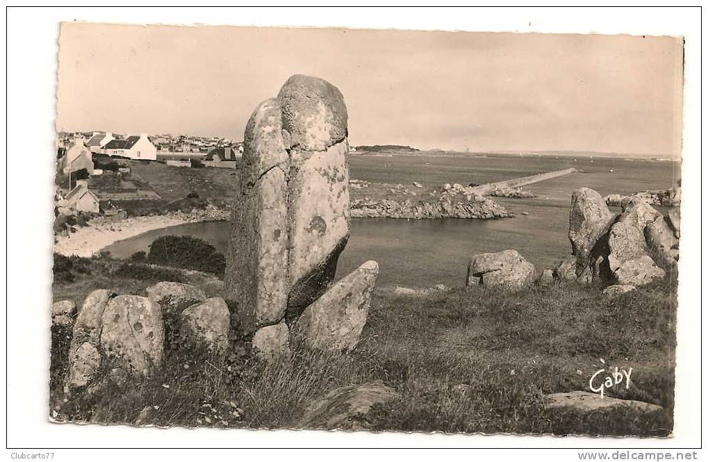 Ile De Batz (29) :  Vue Générale Prise Au Niveau Du Keb Environ  1950. - Ile-de-Batz