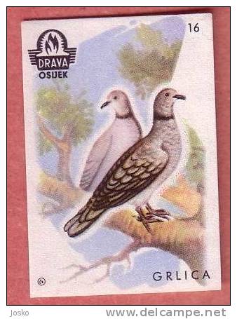 WILD ANIMALS Turtle Dove ( Yugoslavia ) Tourterelle Tortola Tortora Turtledove Bird Matchbox Label Etiquette Allumettes - Boites D'allumettes - Etiquettes